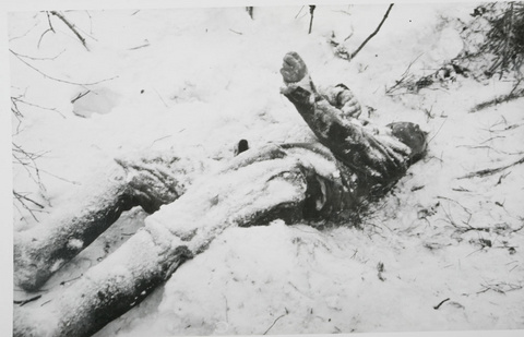 замёрзший советский солдат